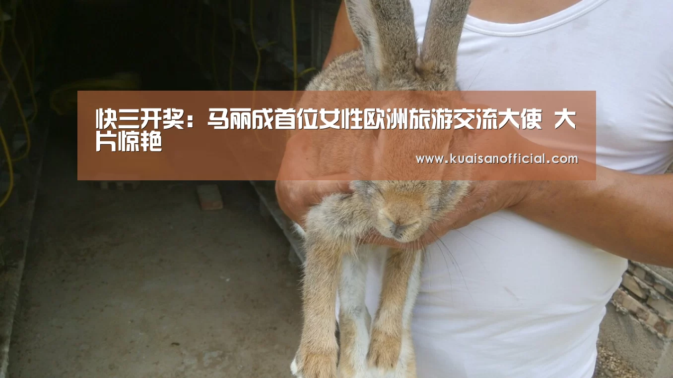 快三开奖:马丽成首位女性欧洲旅游交流大使 大片惊艳(图2) 快三